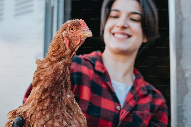 Cage-Free Farming