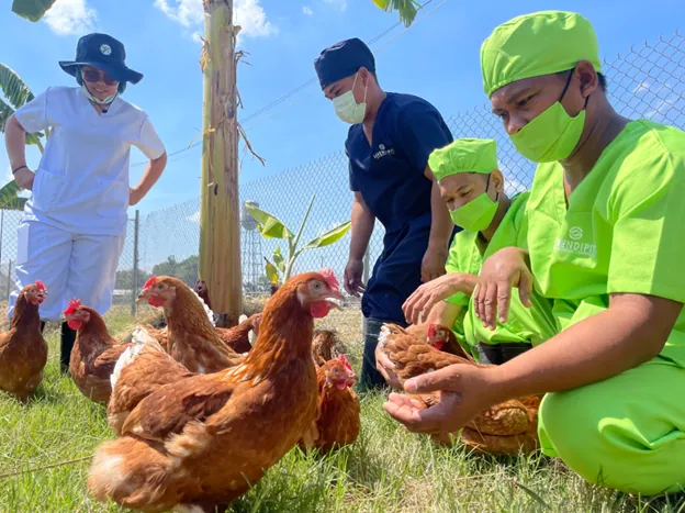 Cage Free Chicken Farmers